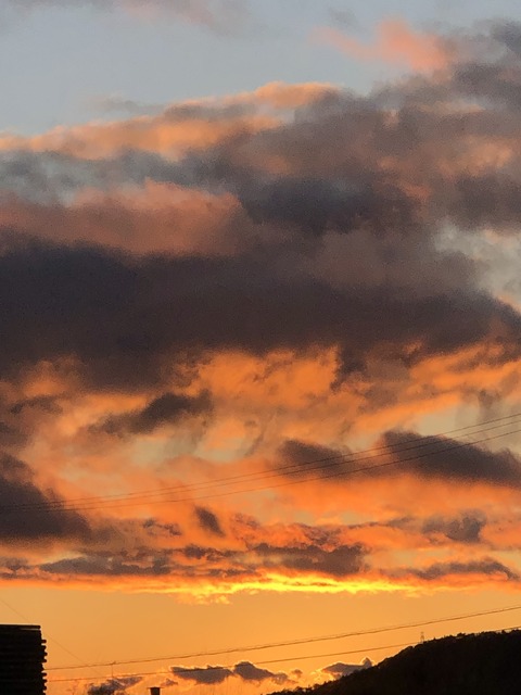 A6E695FE-F0CD-418F-B954-18B63872640E