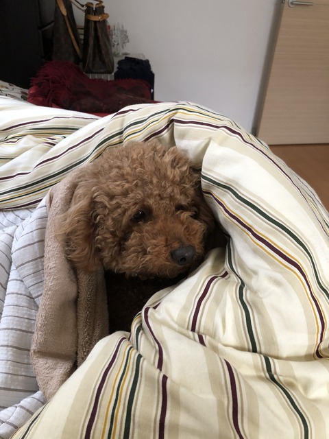 941B6E56-76A1-4575-BD65-DBF1385142CF