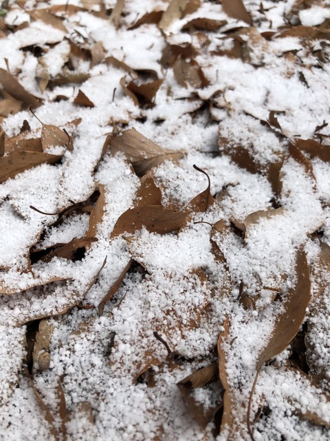 27B0CF25-E51B-406B-8F75-E983713E97FF