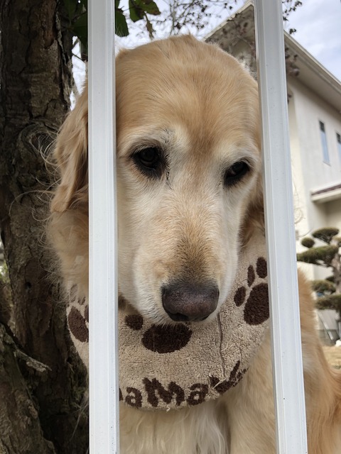 E52E8074-0E28-4CD5-B0AD-19EC9F87D86C