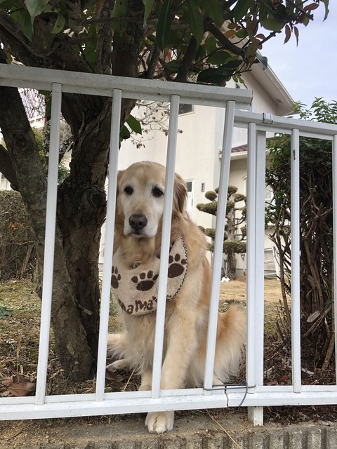 DE8B99C5-78B2-43BD-B0E8-3A651563C677