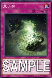 考察】《量子猫》がスワンプマンに勝る点とは何か【ｴﾝﾀﾝｸﾞﾙ