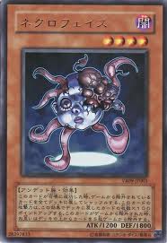 ワイバー】《輝白竜ワイバースター》と《暗黒竜コラプサーペント》が