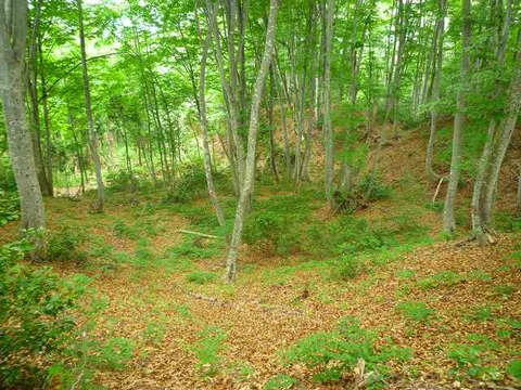 127841461911416216605_P1050929