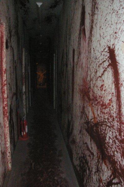 戦慄迷宮 かれん時々 圭賢日和