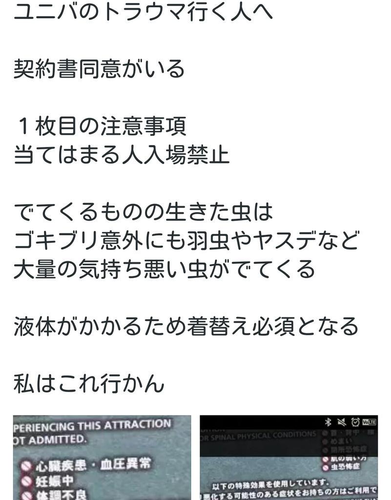 ヘタレが勝つか好奇心が勝つか かれん時々 圭賢日和 ヘタレが勝つか好奇心が勝つか かれん時々 圭賢日和