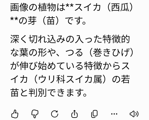 Screenshot_20260905_185016_Google
