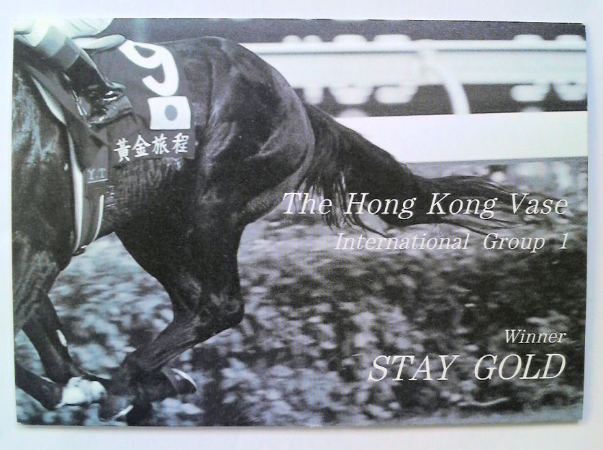 ステイゴールド香港ヴァーズ