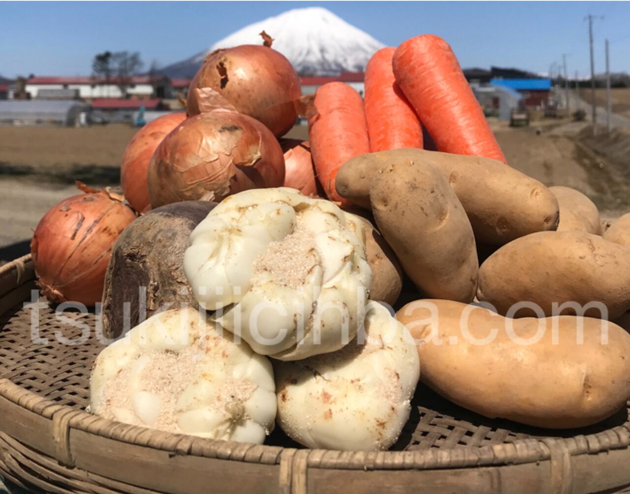 ドット 豊洲 コム 市場