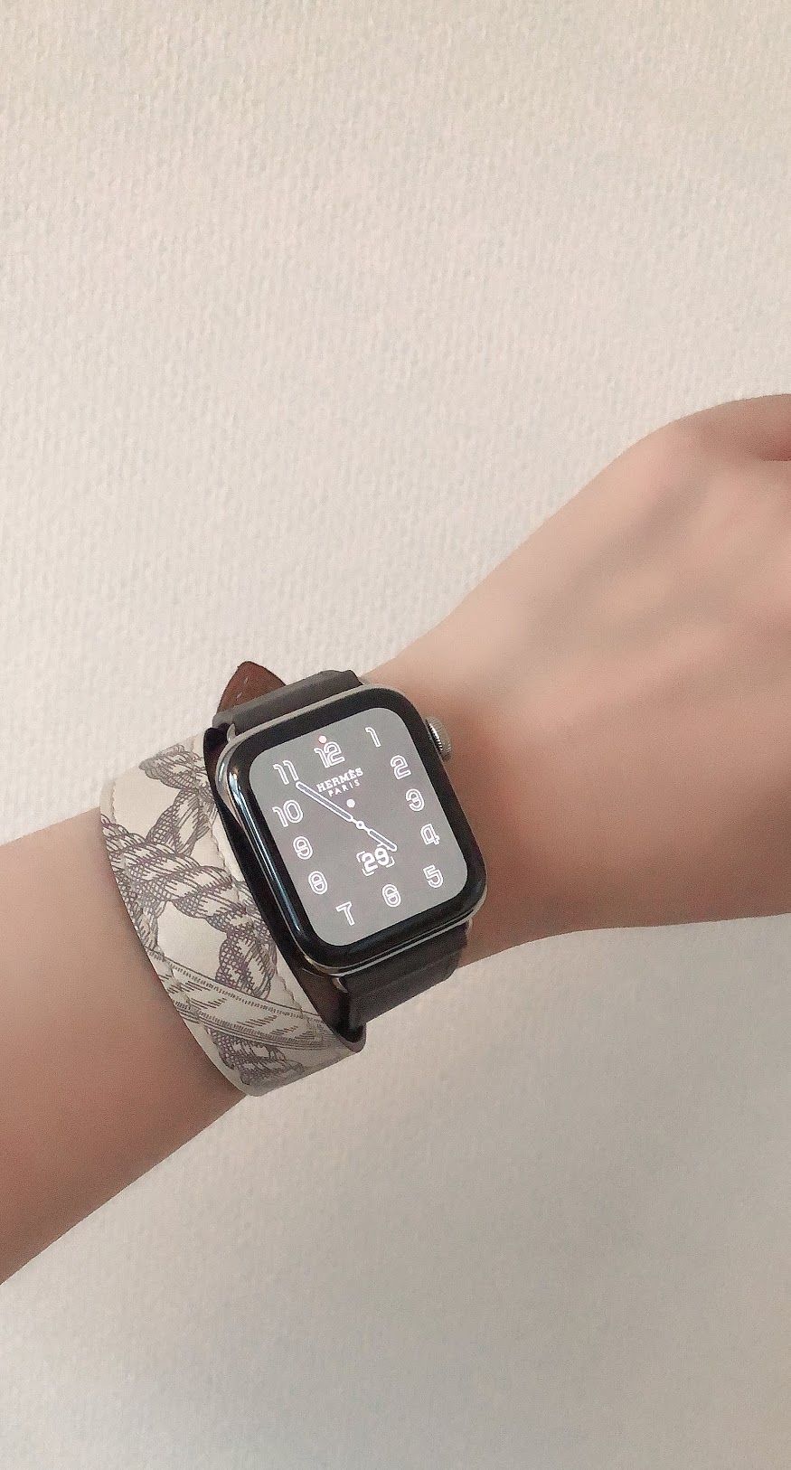 Apple Watch Hermès Series 5 ポチりました : 肉食系ベジタリアンの