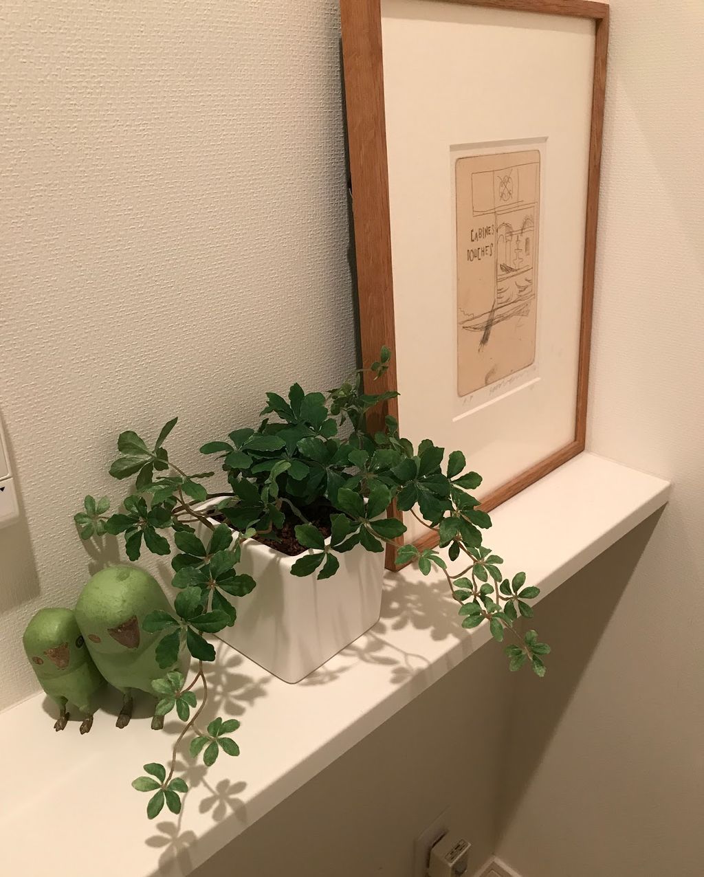 フェイクに見えない観葉植物 肉食系ベジタリアンのつぶやき フェイクに見えない観葉植物 肉食系ベジタリアンのつぶやき