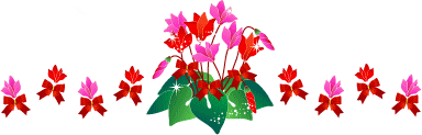 カランコエ ベラドンナ 小さな庭のお花達 カランコエ ベラドンナ 小さな庭のお花達