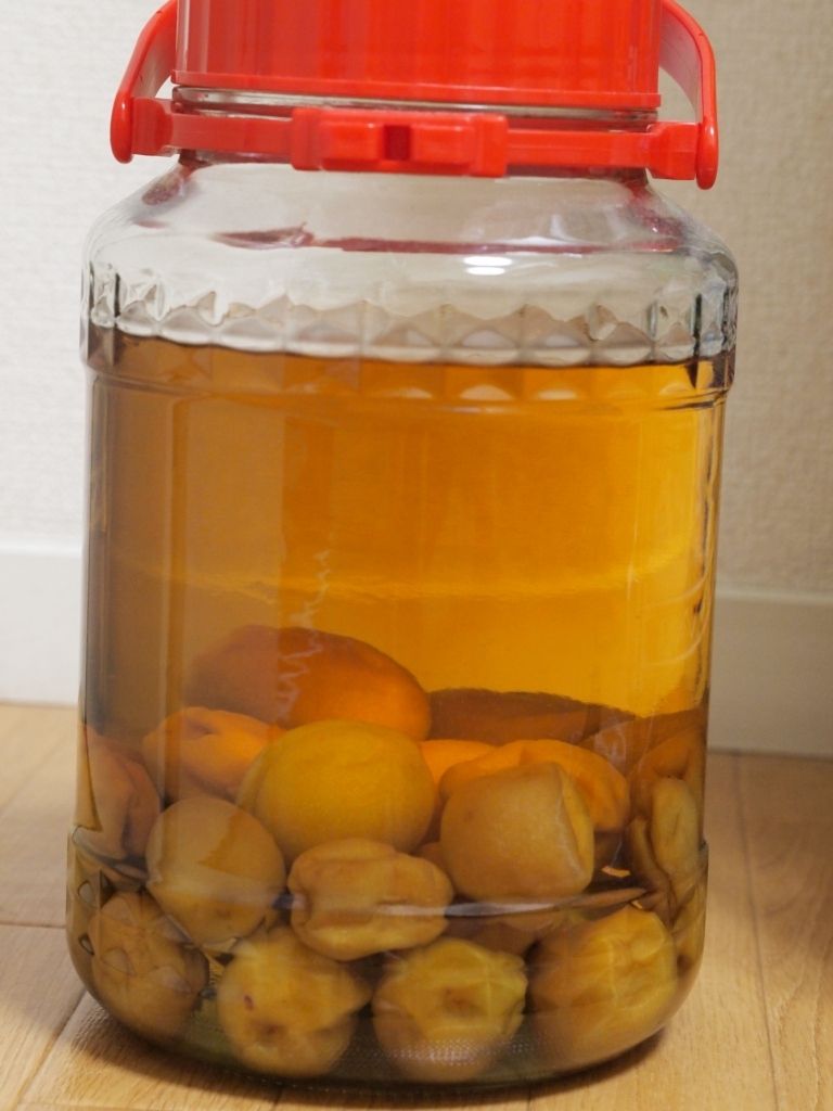 梅酒 ４ヵ月後 カリソメ乙女