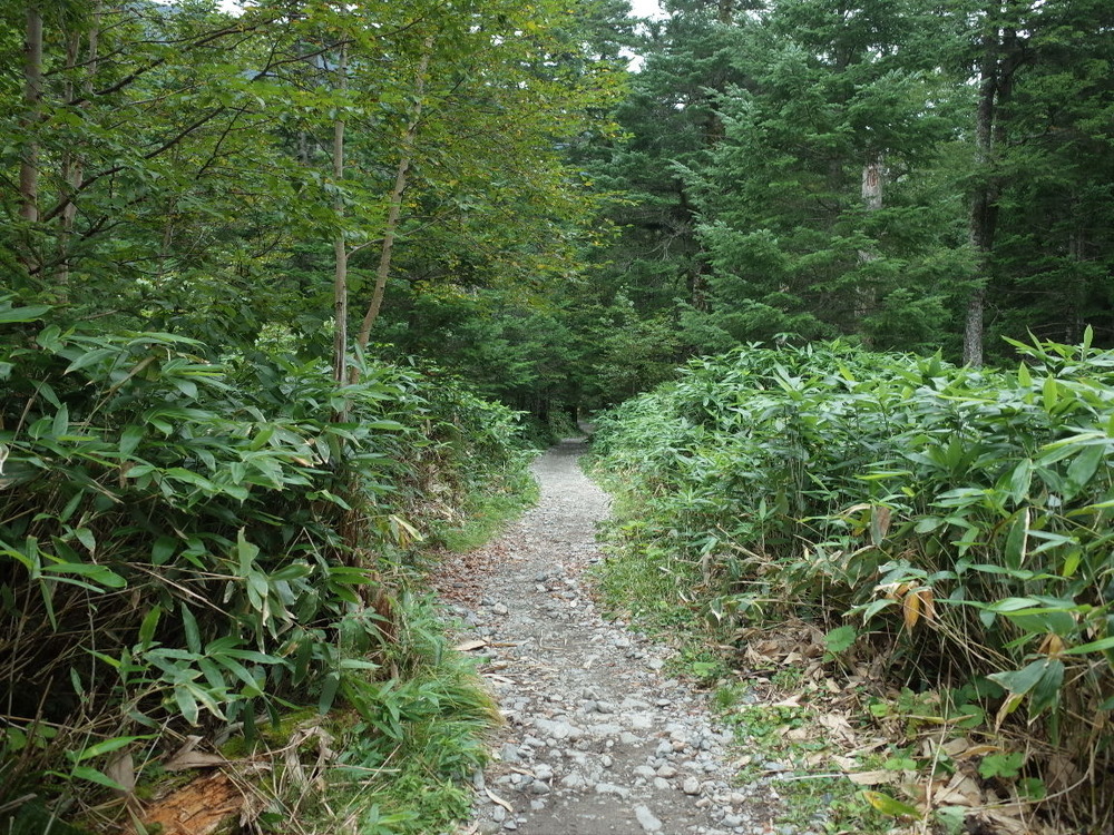 R0017576