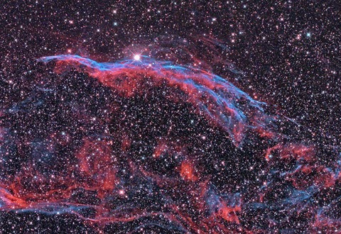 New5NB2アミ状16枚8m完HDR完2トリ2