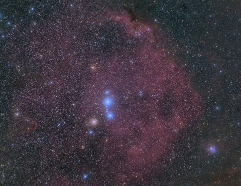 New3エンジェルフィッシュ6分7枚完