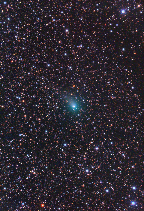 New1 C2017T2 5m 5枚完