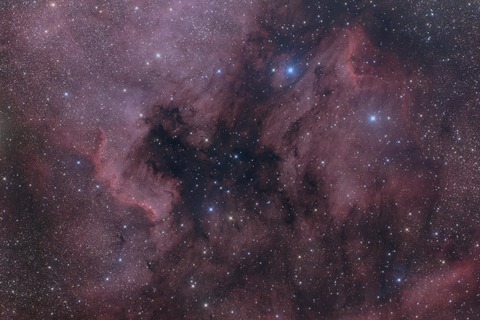 New3メキシコ湾ペリカン16枚ε210処理HDR完