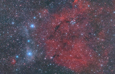 New4きりん足元付近15分17枚処理完2HDRノイズトリ完プリ