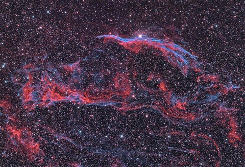 New5NB2アミ状16枚8m完HDR完2トリ