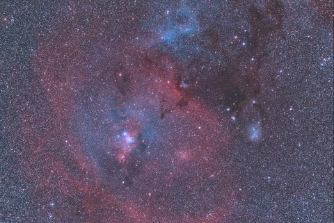 New4コ－ン24枚12分処理強完HDR