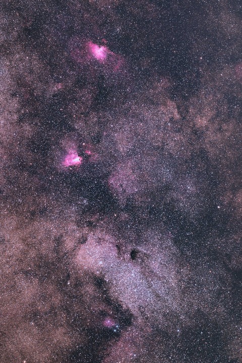 New1バンビ鼻先　5分28枚処理完2プリ