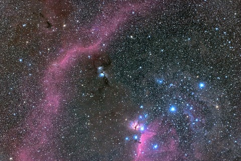 New5三ツ星6分48枚処理2完