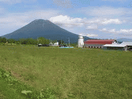 牛