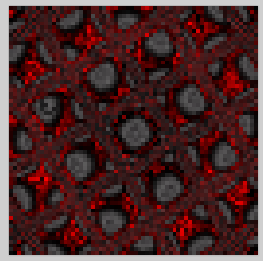 SnapCrab_NoName_2016-6-26_19-37-38_No-00