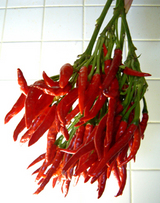 ���Ф�����