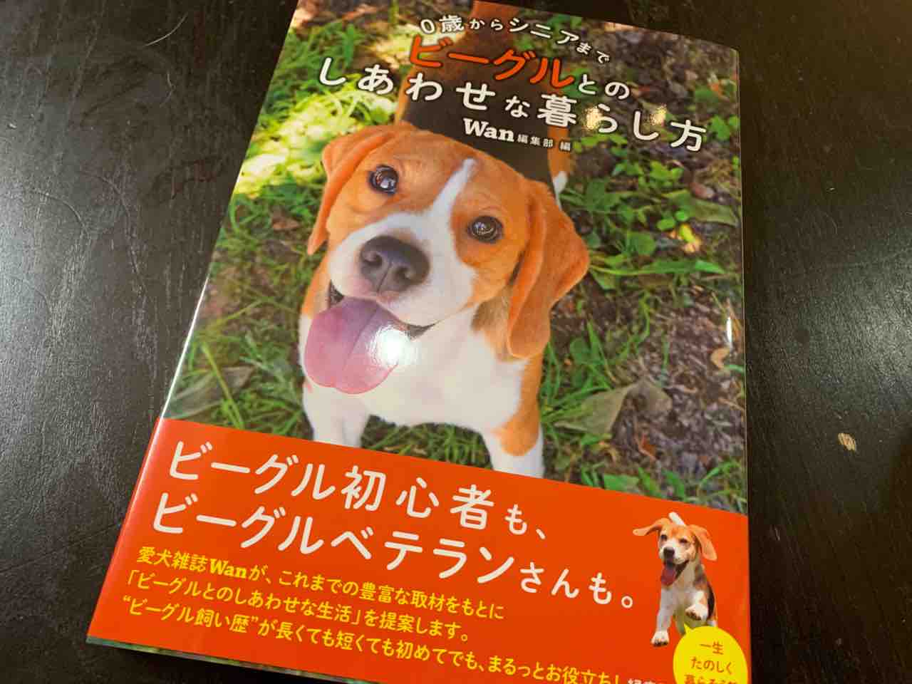 0歳からシニアまで ビーグルとのしあわせな暮らし方 和尚さんの日記 0歳からシニアまで ビーグルとのしあわせな暮らし方 和尚さんの日記