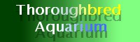 Thoroughbred Aquarium