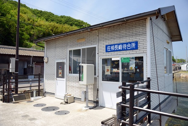 3D81OzR