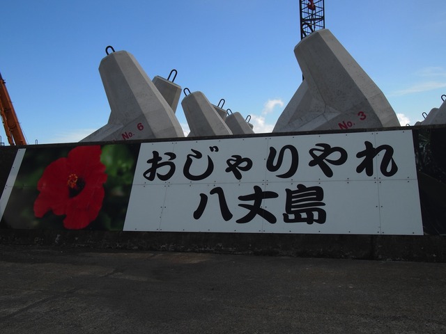 org3409666