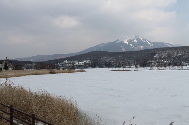 QIy7YW7