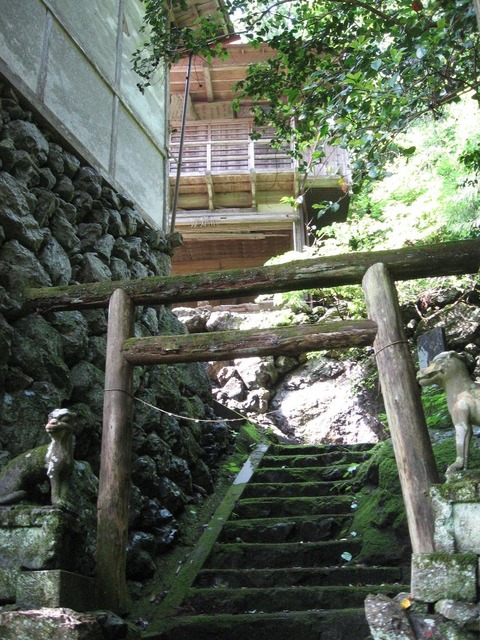 vljiko077287