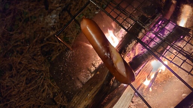 avr1pUJ