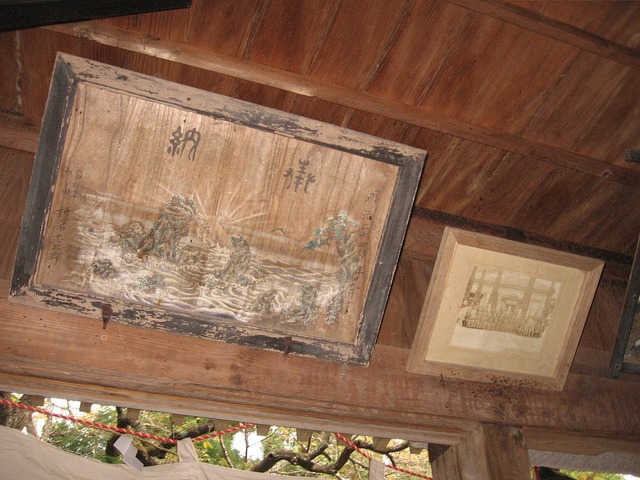 vljiko084788