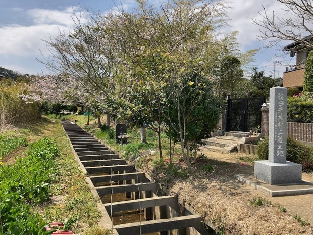 VTZ1ZWF