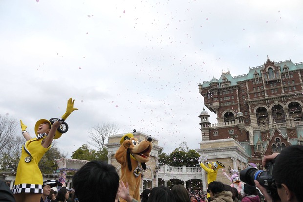 pQ33z
