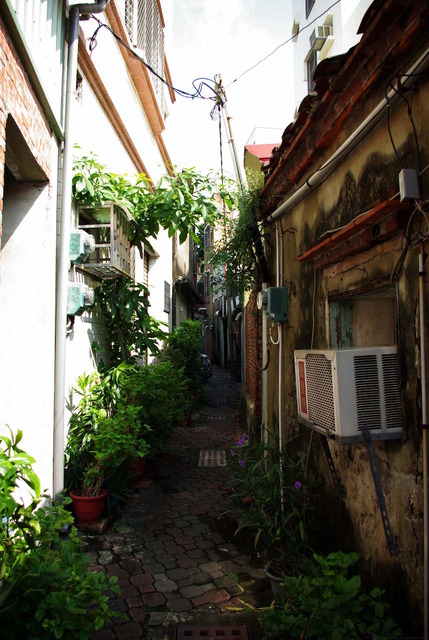 4549PrP