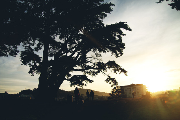 vlphoto017338