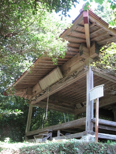 vljiko081569