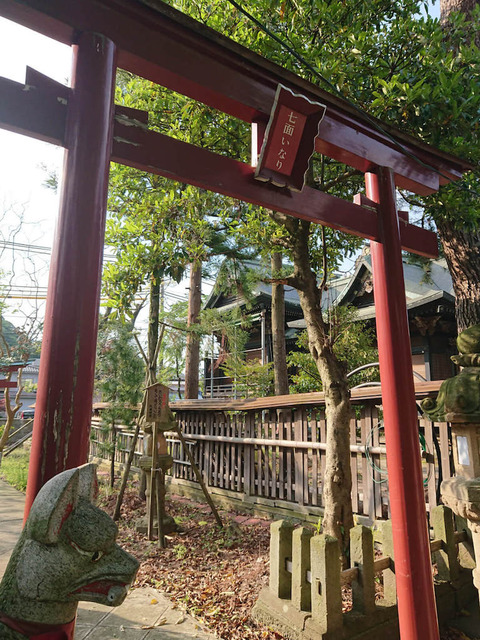 bwajTvI