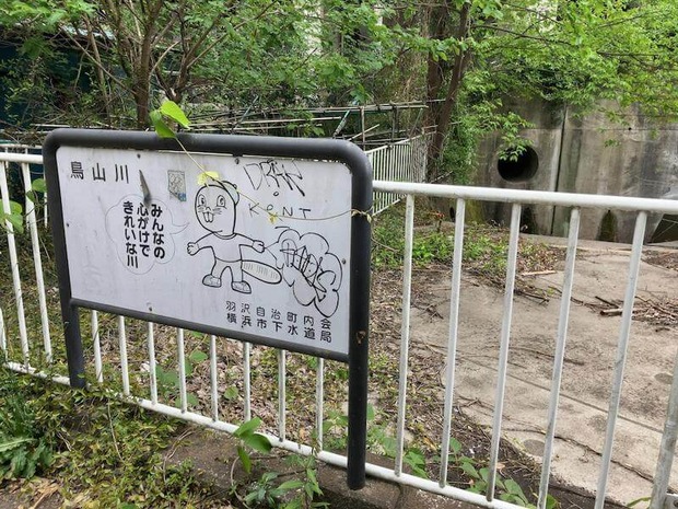 YCXQSWu