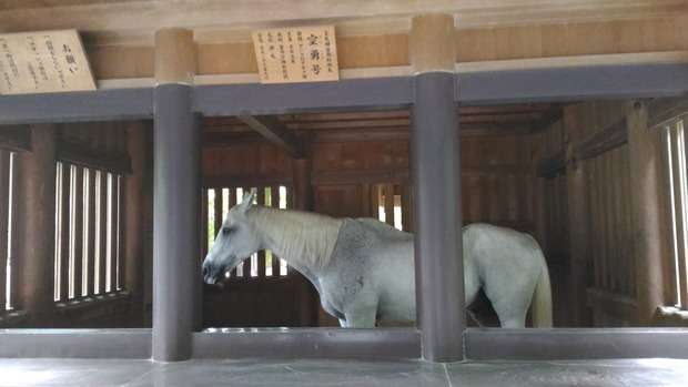 yeKszFJ