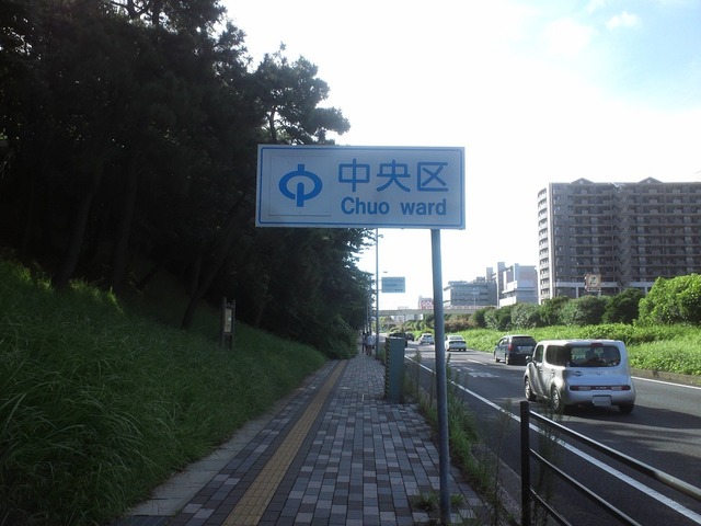 org3433029