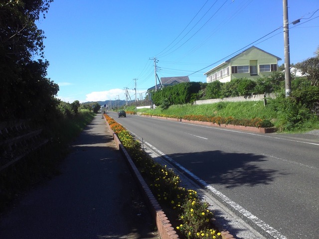 org3433661