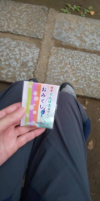 Uxic6wI