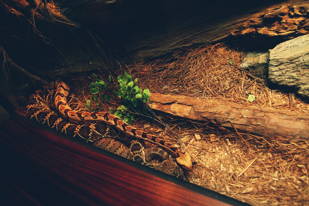 vlphoto017403